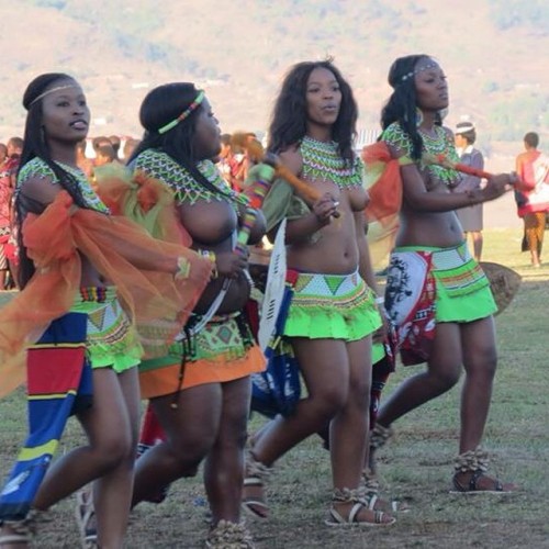 Porn Pics   Swazi reed dancers, via joseheid