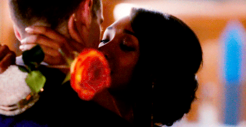 candicespatton:THE IRIS BEST:↳ Flowers