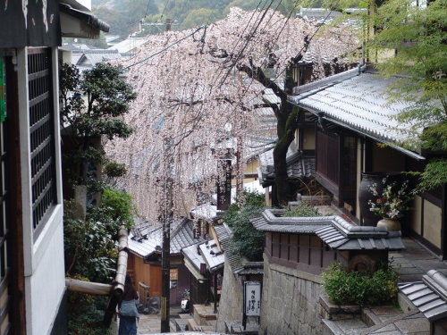 Porn iesuuyr:   Kyoto Streets  by    	 	 	 	  photos