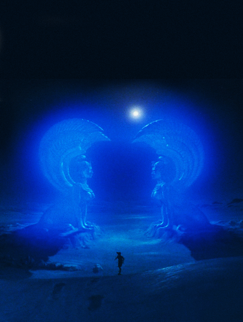 Epistemic Ambivalence