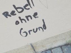 littlerabbithasgrownup:  lieber REBELL OHNE GRUND als rebell ohne mund .