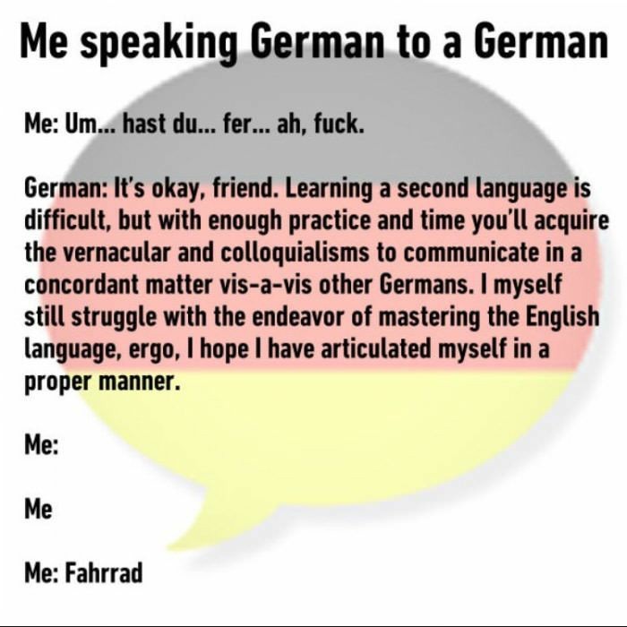 I M Struggling With My German Lessons