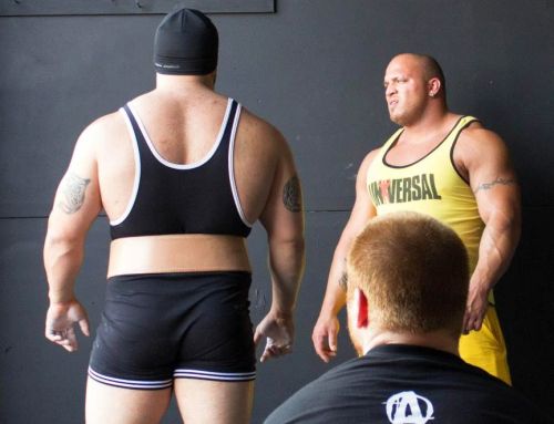 justbulls:  Thick Bulls