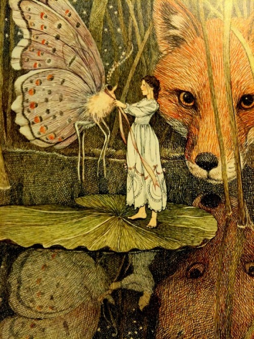 enchantedbook:Thumbelina - Susan Jeffers