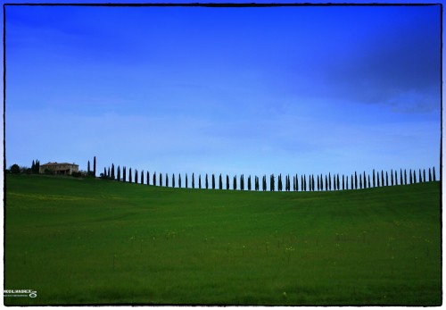 Montalcino