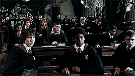 danakathscullys:MISSING BOOK MOMENTS: Ron Defends Hermione↳ Prisoner of Azkaban (page 172)“That is t