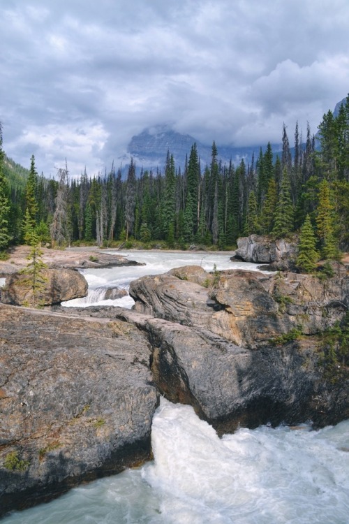 finnjamaria:Natural Bridge