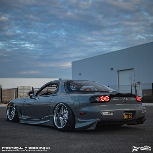 stancenation:  Fan Appreciation Weekend 