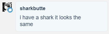 sharkbutte:  thepillgrums: thepillgrums:  2016: everyone draws their sonas in a wet