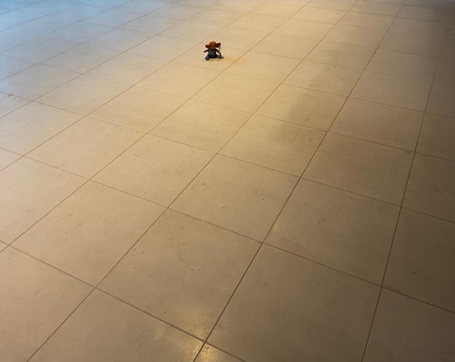 A photo of a white tiled floor with nothing on it except for a distant Ferengi beanie baby.