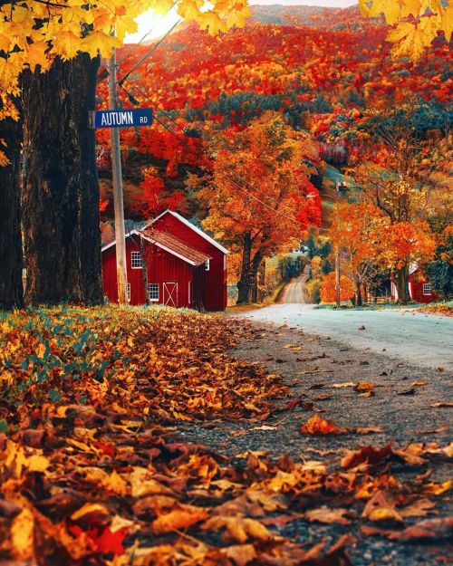 autumncozy:By Kiel James Patrick