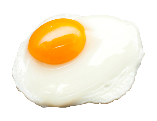 egg yolk