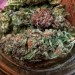 shelovesplants:Cool whip 💨😊 80% indica and 20% Sativa 💨💨