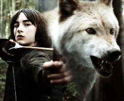 lady-arryn-deactivated20140718:  &ldquo;He was strong and swift and fierce, and