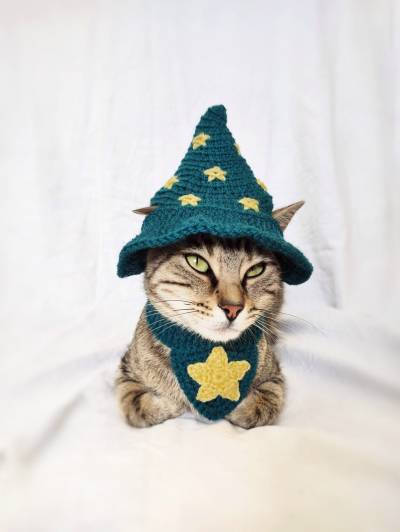 littlealienproducts:Crochet Cat Costume by PurrsAndStitches
