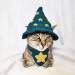 littlealienproducts:Crochet Cat Costume by PurrsAndStitches