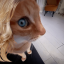 pixie-middle-name-layer
