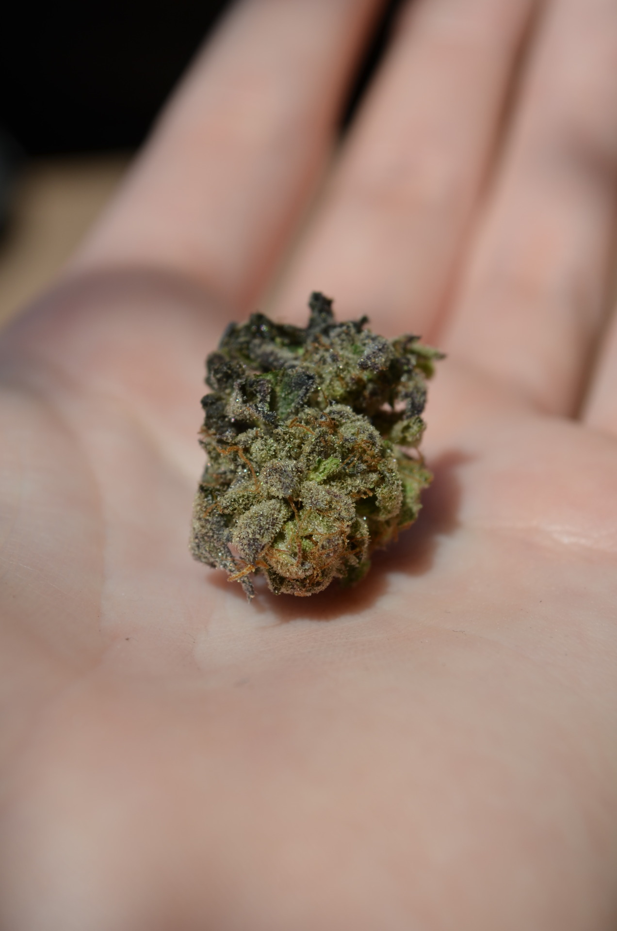 incredible-kush:  Royal Kush