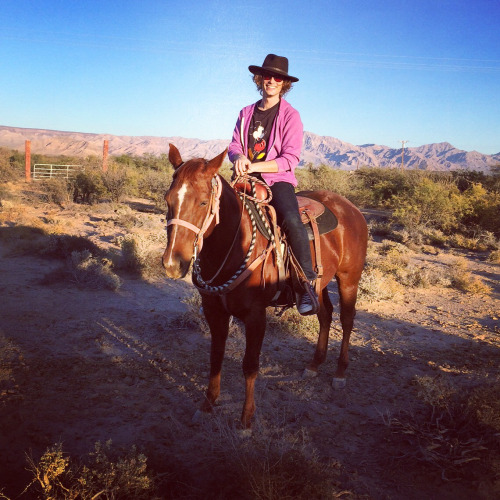 gublernation:  the most dreaded cowboy in all of the west