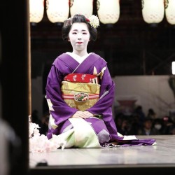geisha-kai:  March 2017: maiko Naokinu as a senior (congrats!) at the Yasaka Shrine by   yoshiyan1421 on Instagram