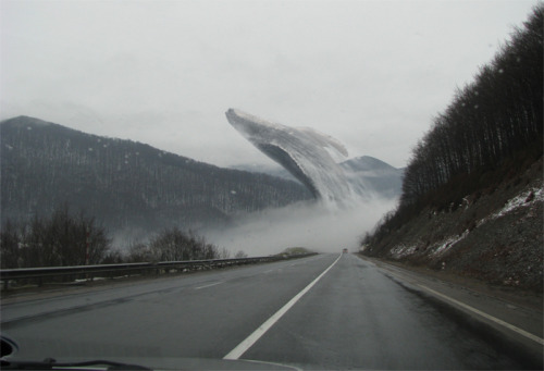 diebolt:  hellotheremydarling:  envycamacho:  kim-jong-healthy:  humpback whales in their natural habitat before deforestation forced them into the sea  this is actually so cool  Meow  yo…..what in the world….  why oh why did we have to fuck with