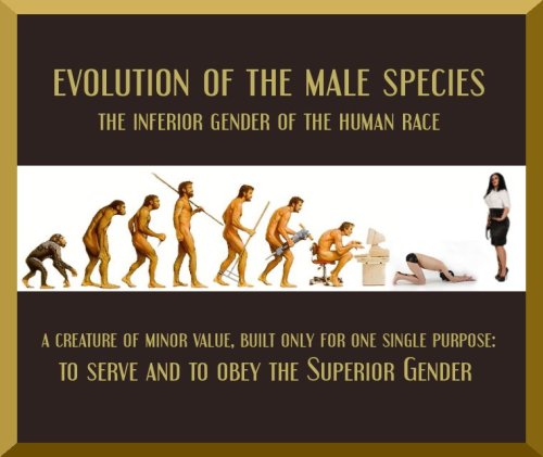 The evolutionary chart that all males should live by. I live to amuse, obey, and serve @mistressmaha