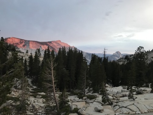 First Yosemite SunsetYosemite National Park, California, July 2018We made it into Yosemite on the se