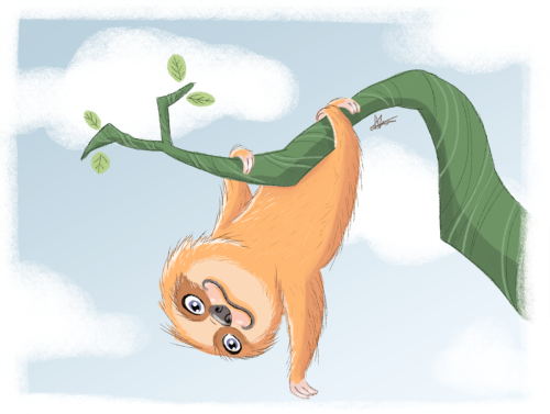ashleighbeevers: Sketch Dailies made me draw a sloth.