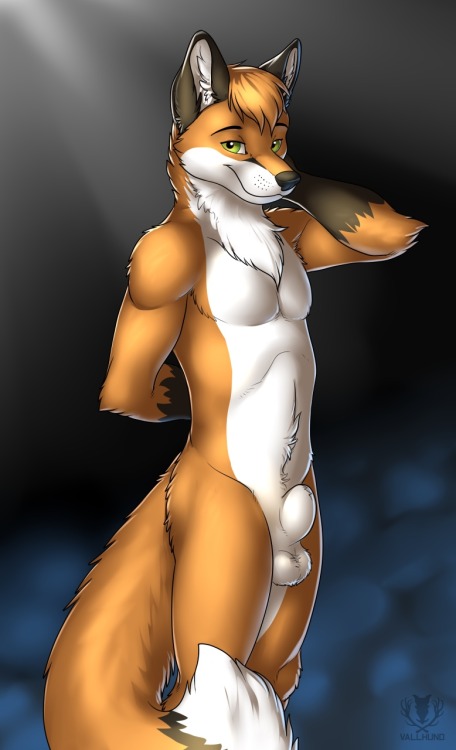 awolthefox:  Solo males by Vallhund♥ For more by this great artist, go to:http://www.furaffinity.net/user/vallhund/ 