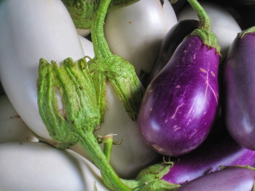 Eggplants, Oak Marr Farmers Market, Fairfax, 2018.