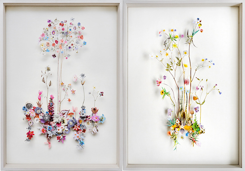 Flower Constructions by Anne Ten Donkelaar