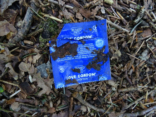 throwncondom:  Autoroute Liège-Namur, parking près de Fernelmont, bout du parking ½, avril 2015.  Si vous allez tout au bout du parking, il y a pas mal d’activité…  :-)… Des mecs tout le temps dans le bois… moi, j’ai pris ces clichés