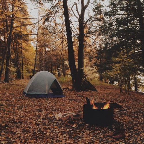 kitsune-noir:  my hair smells like campfire & i’m into it. baked potatoes for dinner! 