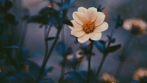 It Smells Like Autumn. Let's Take A Deep Breath.