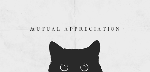 romanovasnatalias: i think it’s time for a mutual appreciation post ♡ thank you so much to all of yo