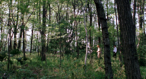 like father, like son (hirokazu koreeda, 2013)