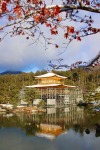 Porn chitaka45:雪の朝　籠の中の世界遺産　❄️金閣寺❄️Kinkakuji photos