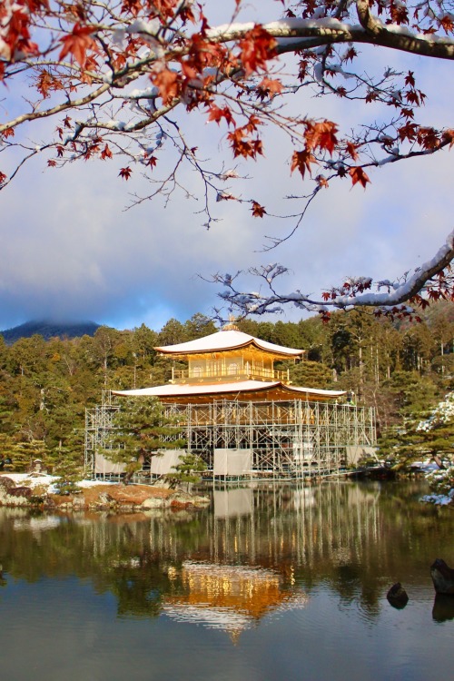 chitaka45:雪の朝　籠の中の世界遺産　❄️金閣寺❄️Kinkakuji temple with snow 