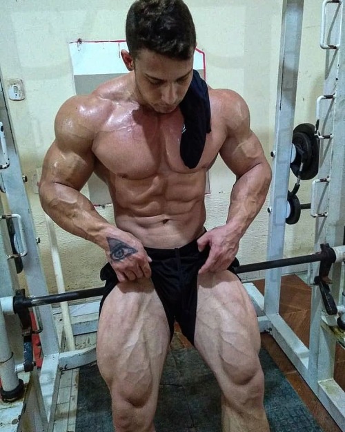 musclecomposition:Bodybuilder, Ramon Dinossauro