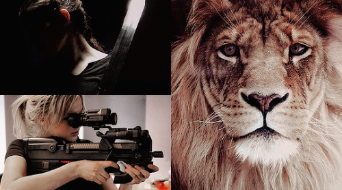 faefever:  » Book Meme » [1/10] Series» Kate Daniels by Ilona Andrews  &ldquo