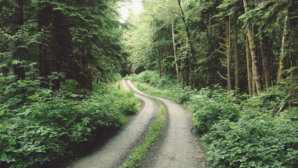 englishsnow:  by Tyler Forest-Hauser 