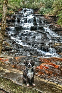 h4ilstorm:  Majesty (by Becca Benfield)