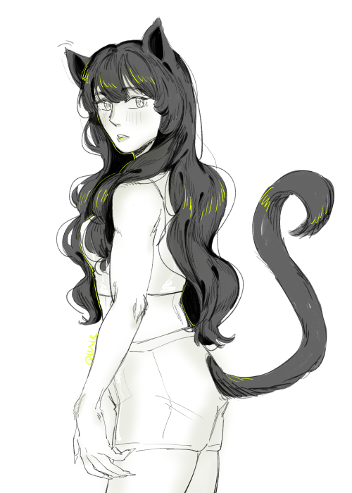 the faunus in rwby but they’re better and blake belladonna looks more like catra she ra