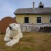 rizsilemming:escapekit:Polar bear Station Russian-based wildlife photographer Dmitry Kokh ventured to an abandoned meteorological station on Kolyuchin Island, where polar bears have taken over the station. @medvusz @pictures-of-dogs 