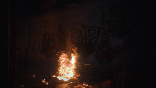 Raccoon City