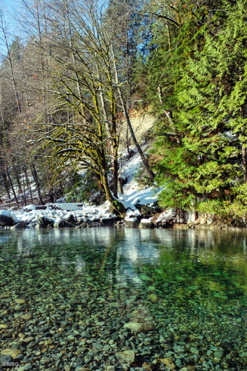 Lynn Canyon, North Vancouver