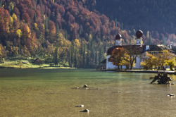 allthingseurope:  St. Bartholomew’s Church, Germany (by kesnajlop) 