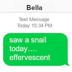 twilightrenaissance: edward texting bella about the snail he saw moodboard