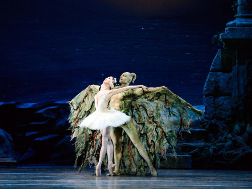 Hee Seo and Roman Zhurbin in Swan Lake, American Ballet Theatre, June 2014. © Gene Schiavo