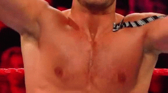 wrestlingsexriot:Cesaro’s pecs are incredible
